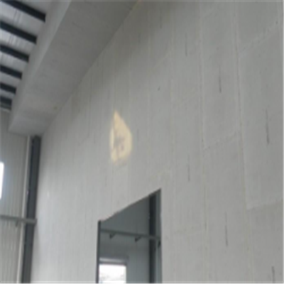 玄武宁波ALC板|EPS加气板隔墙与混凝土整浇联接的实验研讨